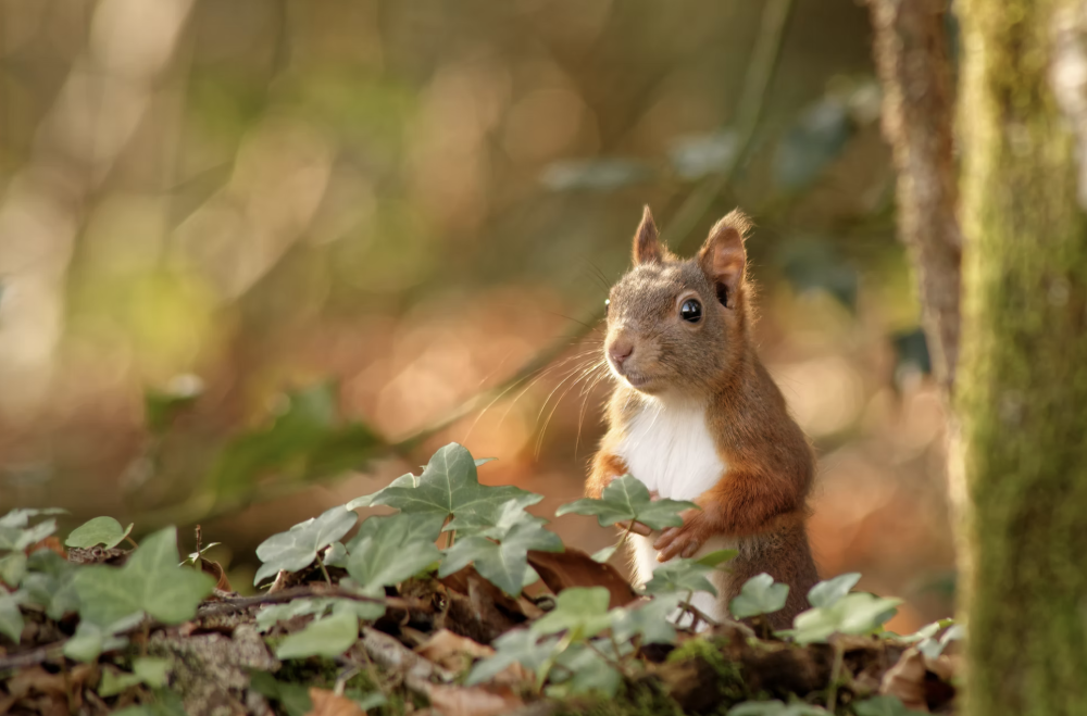 Exposition photographique